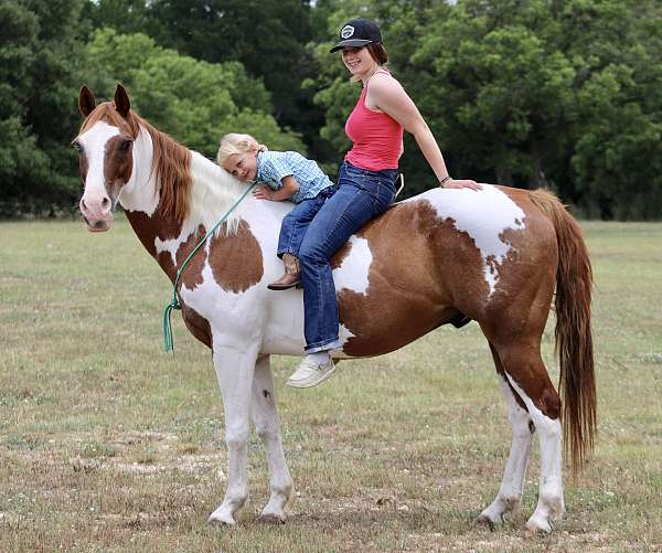 tobiano-horse