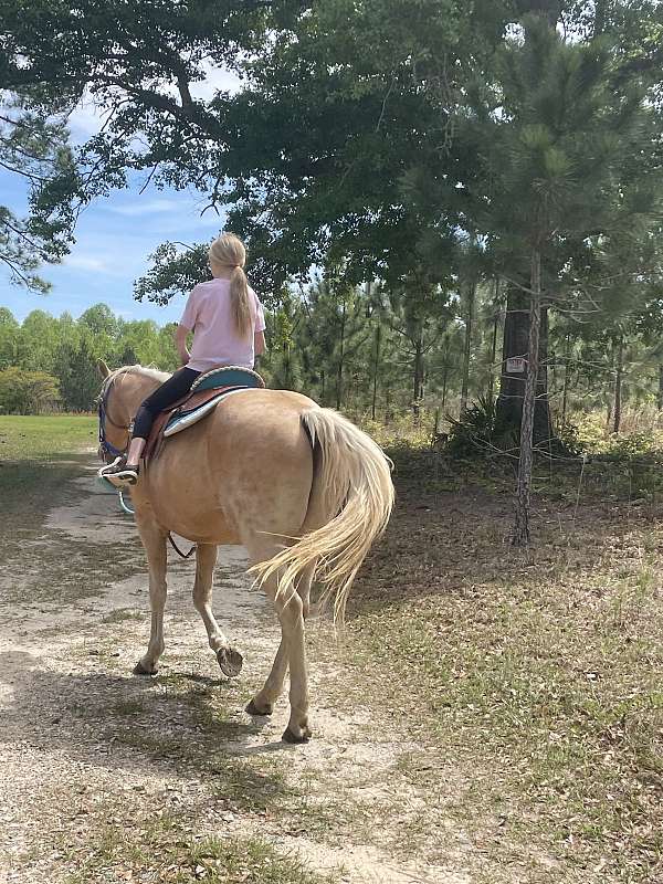 daughter-palomino-horse