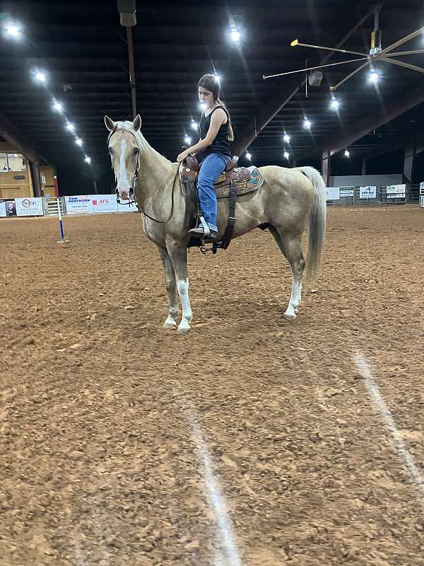 merry-go-round-quarter-horse