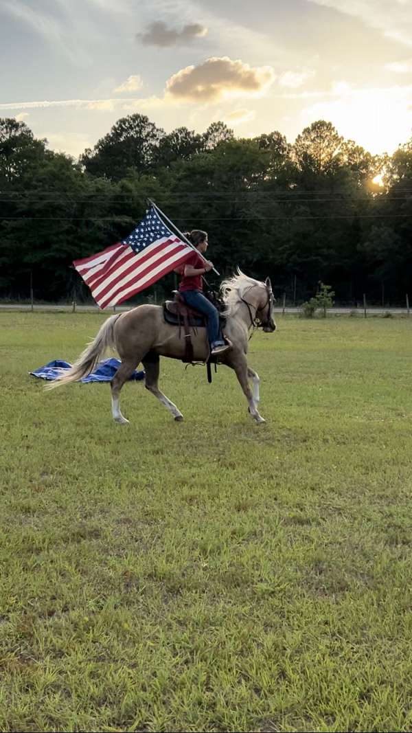 merry-go-round-horse