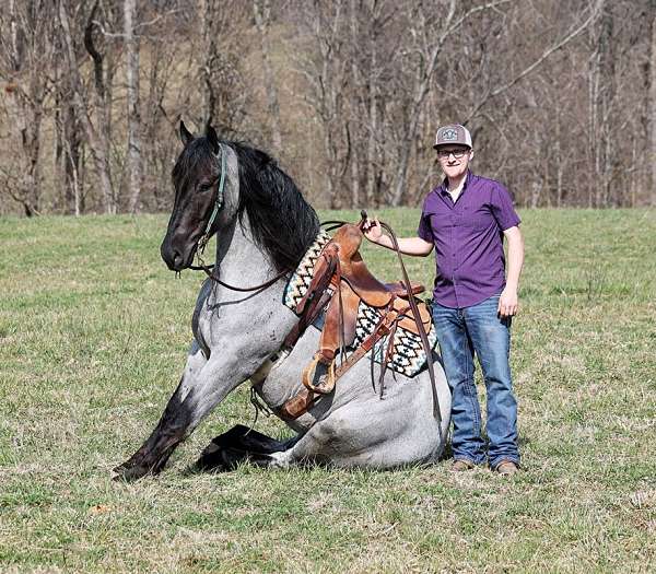 ranch-work-draft-horse