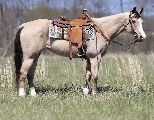 ranch-quarter-pony