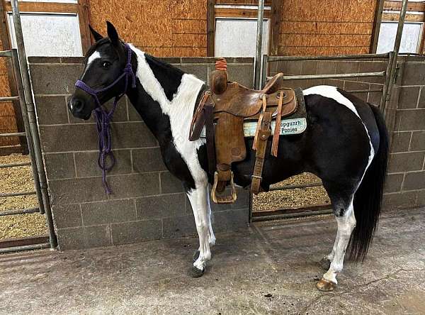 pony-kids-roping-barrel-quarter