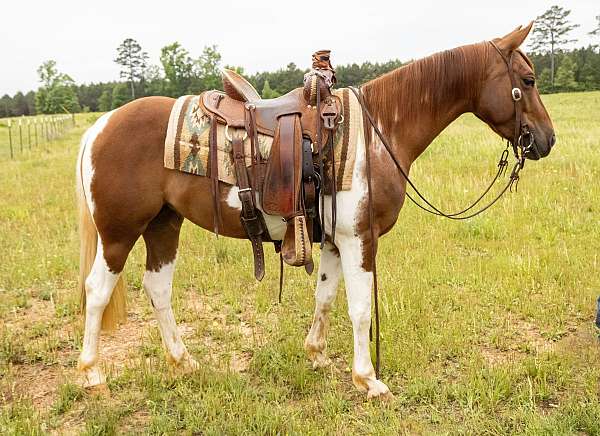 sorrel-tobiano-athletic-performance-horse