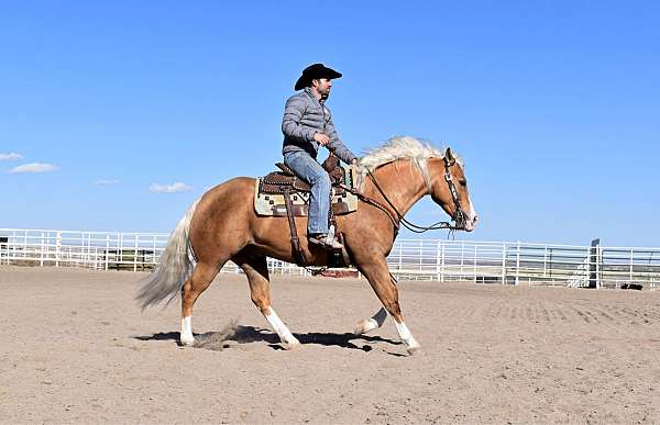 ranch-rider-gelding