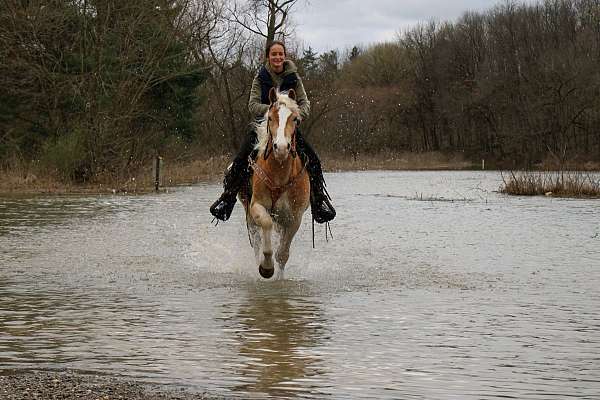 chestnut-white-stripe-mane-tail-horse