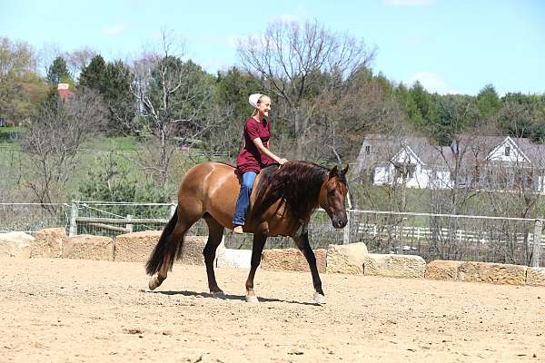 kid-safe-quarter-horse