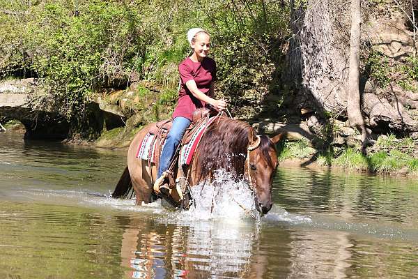 reining-quarter-horse