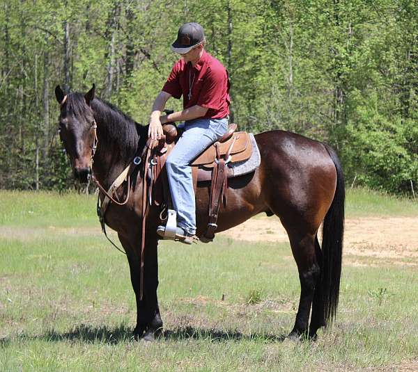 barrel-racing-quarter-horse