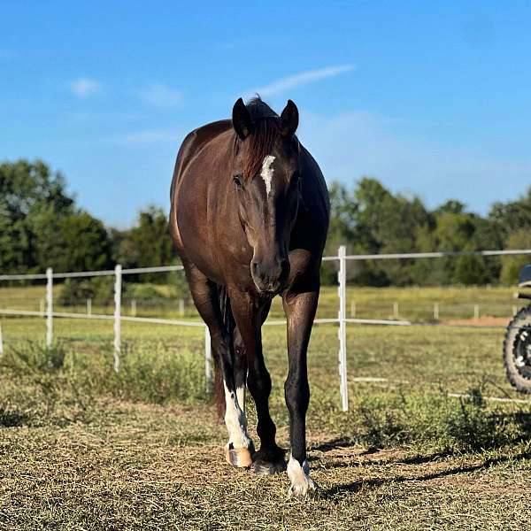 awesome-draft-horse