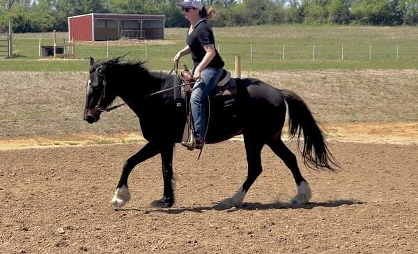 facebook-draft-horse