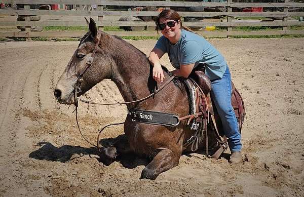 husband-friendly-gelding