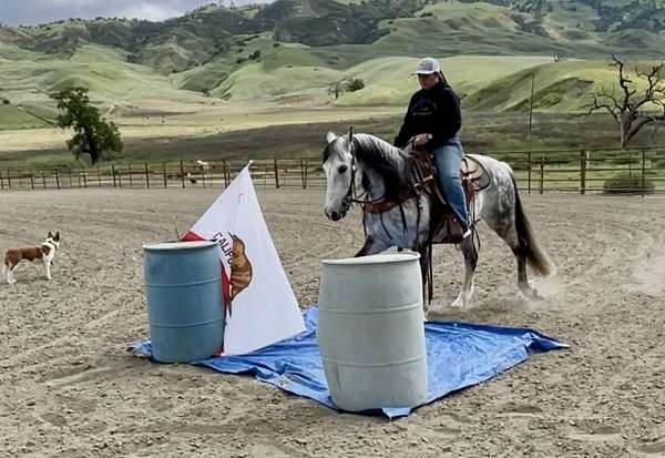 ranch-work-andalusian-horse