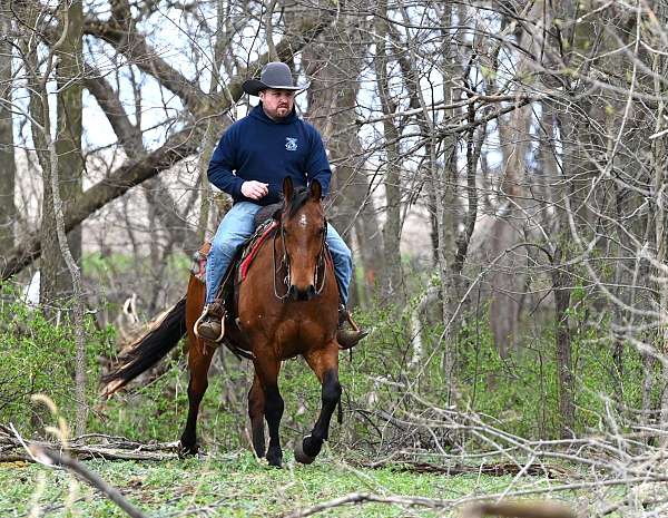 cowboy-mounted-shooting-quarter-horse