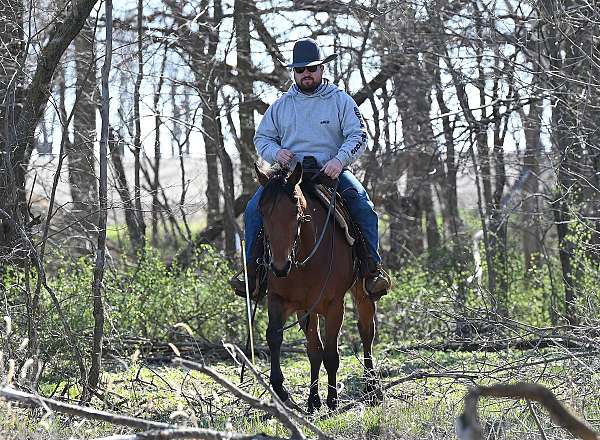 athletic-quarter-horse