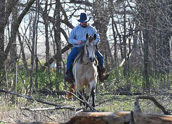 lesson-quarter-horse