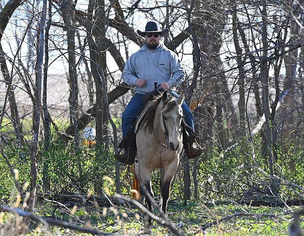 ranch-versatility-quarter-horse