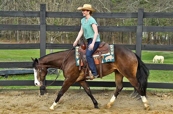 reining-quarter-horse