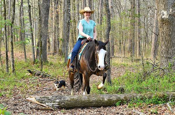 bombproof-quarter-horse