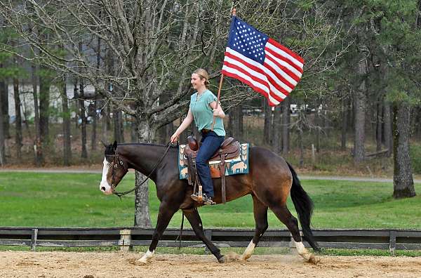 buckskin-natural-horsemanship-traini-horse