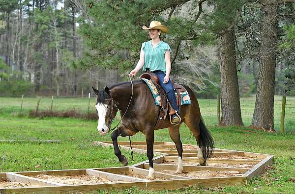 kid-safe-quarter-horse