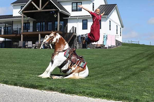 mounted-patrol-gypsy-vanner-horse