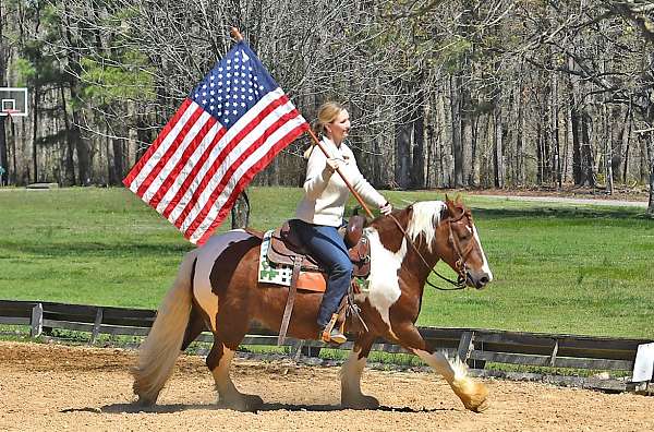 kid-safe-gypsy-vanner-horse