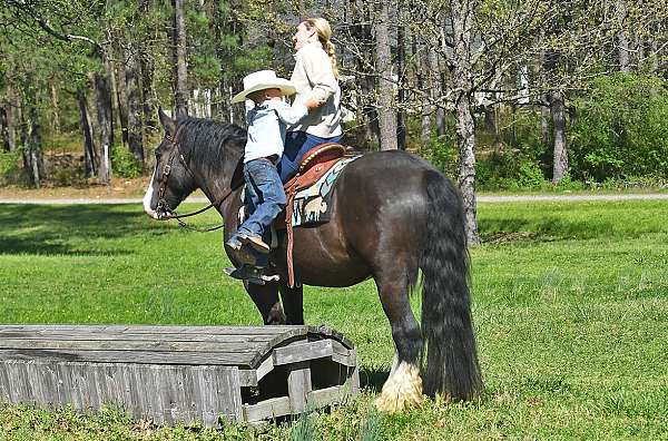 athletic-gypsy-vanner-horse