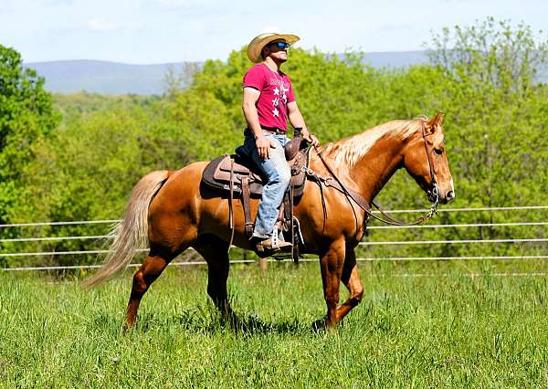 flashy-quarter-horse