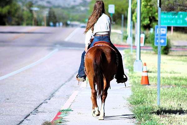 flashy-quarter-horse