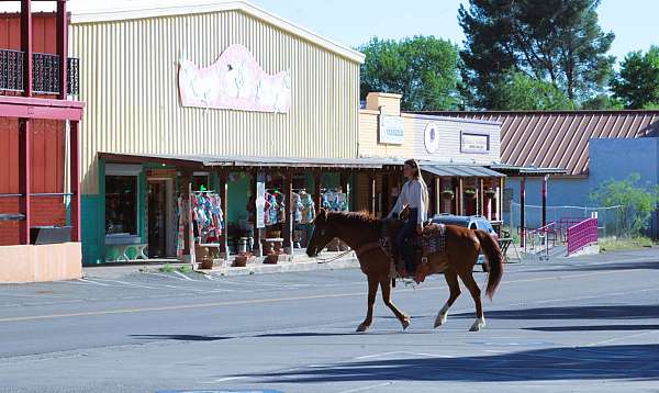 babysitter-quarter-horse