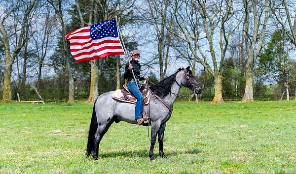 gun-safe-horse-tennessee-walking