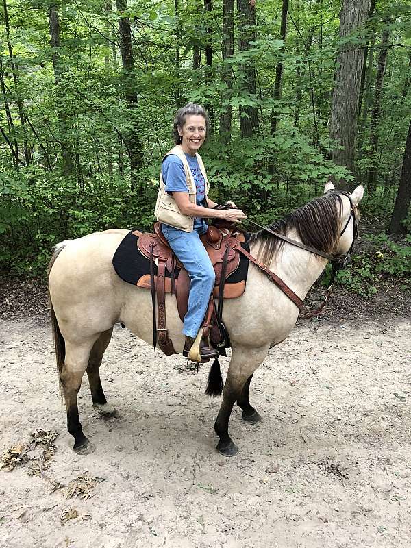 buckskin-white-on-left-hind-pastern-horse