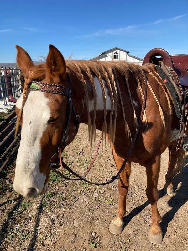 flaxen-mane-paint-horse