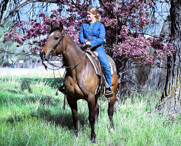 family-quarter-horse