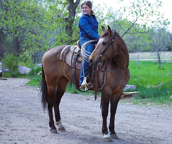 athletic-quarter-horse