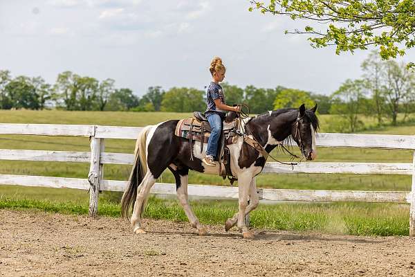 kid-spotted-saddle-horse