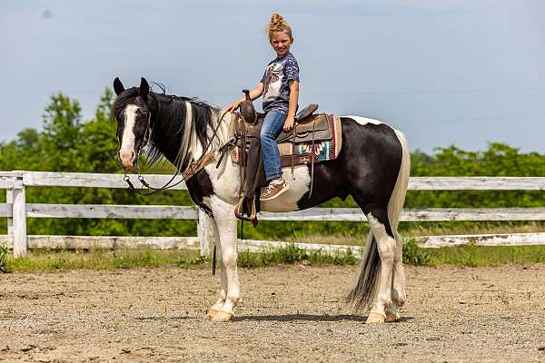 black-white-spots-horse