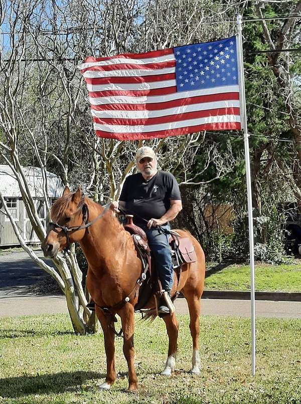 side-saddle-mare