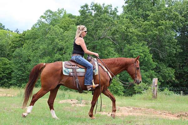 barrel-racing-quarter-horse