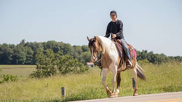 trail-riding-paint-horse