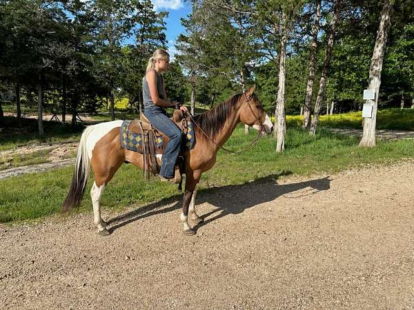 buckskin-white-horse