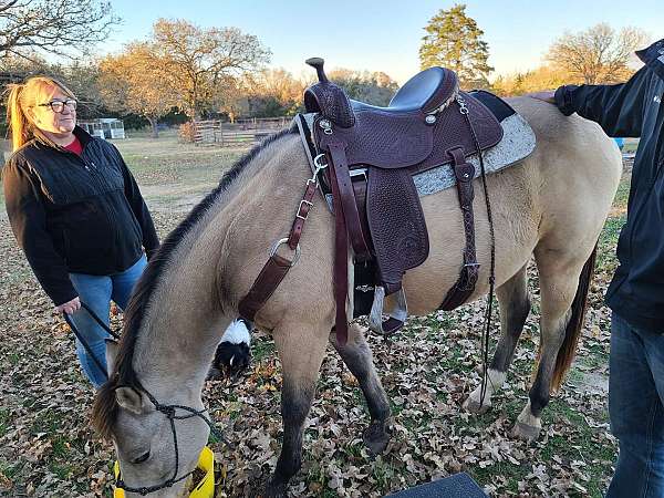 all-around-athletic-paint-horse