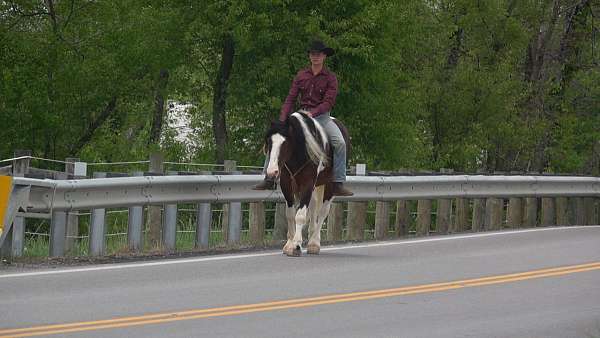 kid-safe-draft-horse