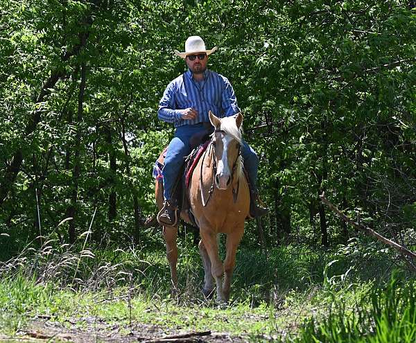 heading-quarter-horse