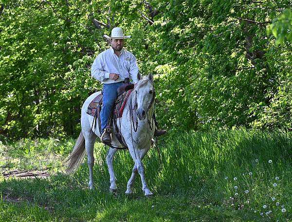 cropout-producer-gelding