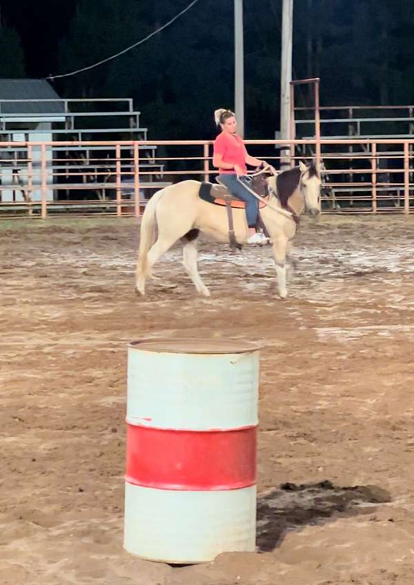 beautiful-quarter-horse