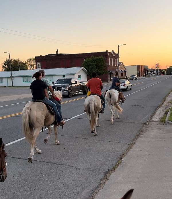 kid-quarter-horse