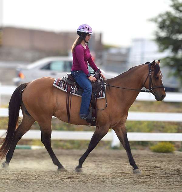 menifee-quarter-horse