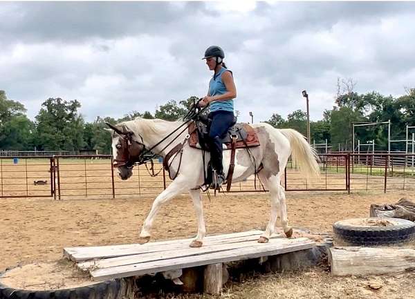 bay-roan-tobiano-horse